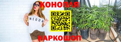 соль ск Ачхой-Мартан