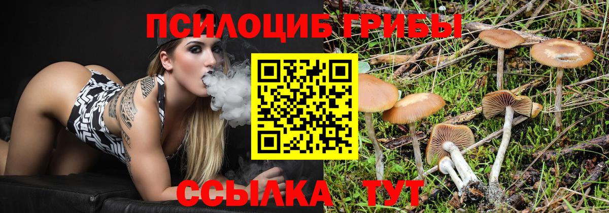 Псилоцибиновые грибы MAGIC MUSHROOMS Павловский Посад