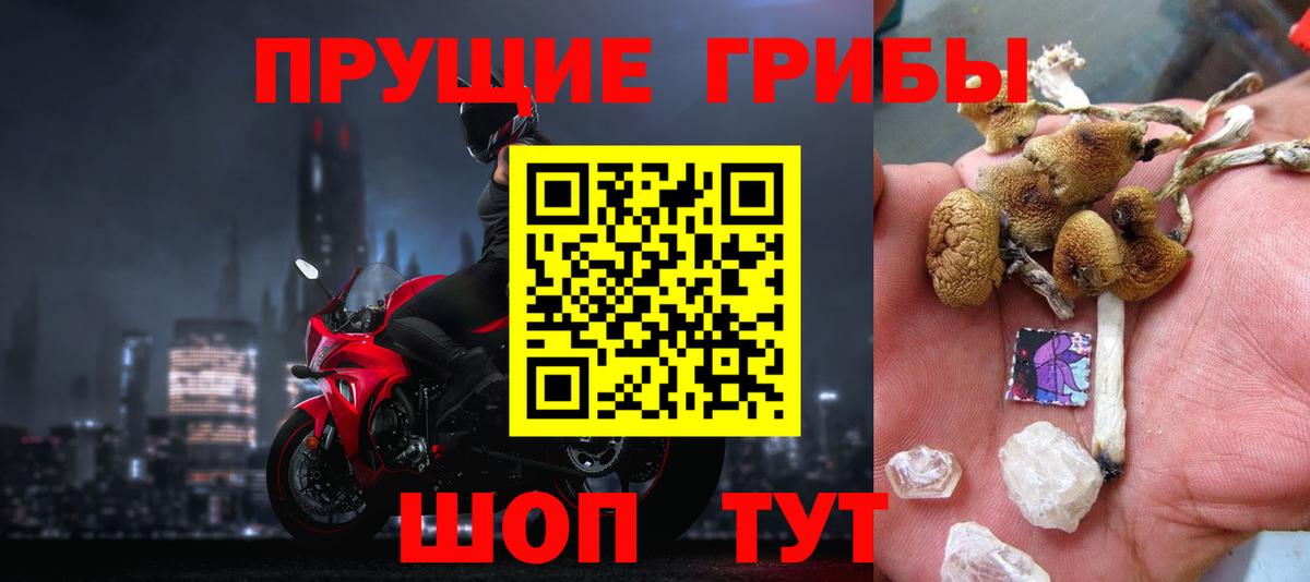 Павловский Посад  Галлюциногенные грибы ЛСД  Вход с VPN 